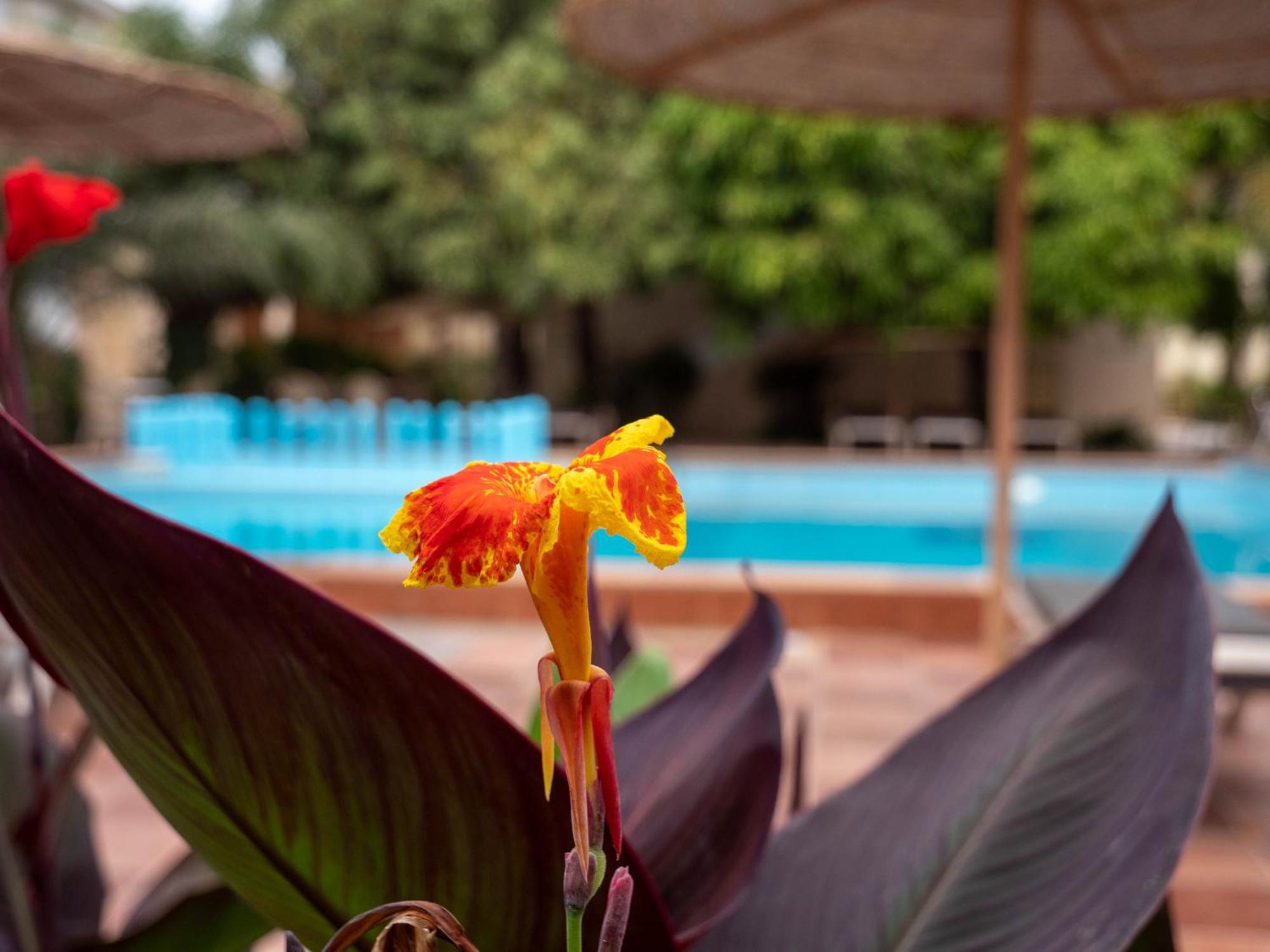 Cape Point Hotel Bakau Exterior photo